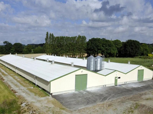 Xưởng sản xuất nhà kho kết cấu thép XDEM Trang trại chăn nuôi gà, gia cầm