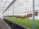 Kết cấu thép nhẹ đúc sẵn Nhà kính rau nông nghiệp Q235 ISO9001