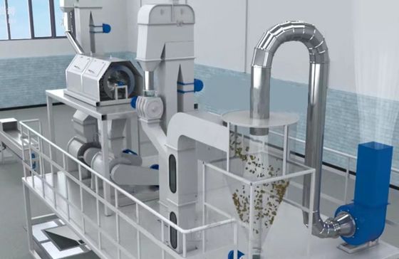 XDEM Palm Kernel Shell Peeling Crushing Oil Press Machine Hệ thống tách và tách hạt cọ tự động