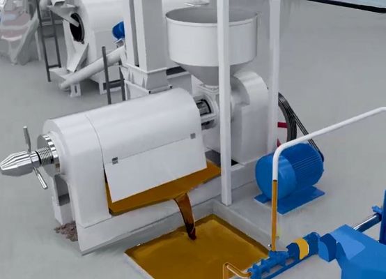 XDEM Palm Kernel Shell Peeling Crushing Oil Press Machine Hệ thống tách và tách hạt cọ tự động