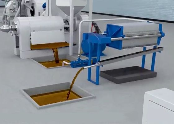 XDEM Palm Kernel Shell Peeling Crushing Oil Press Machine Hệ thống tách và tách hạt cọ tự động