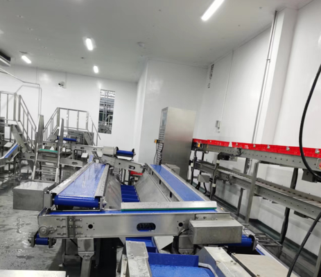 Thiết bị giết mổ bằng thép không gỉ với điều khiển PLC và tiêu chuẩn GB cho chế biến thịt hiệu quả