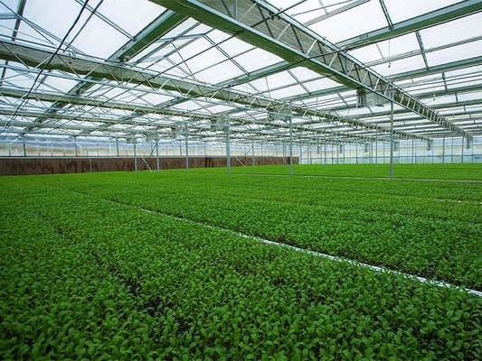 Kết cấu thép nhẹ đúc sẵn Nhà kính rau nông nghiệp Q235 ISO9001